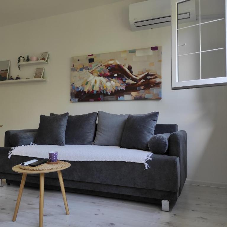 Studio Valjevska Street - Apartman sa 1 Spavaćom Sobom - 2