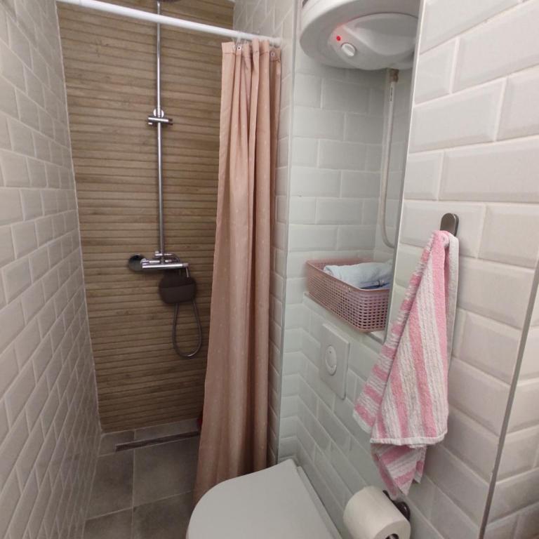 Studio Valjevska Street - Apartman sa 1 Spavaćom Sobom - 3