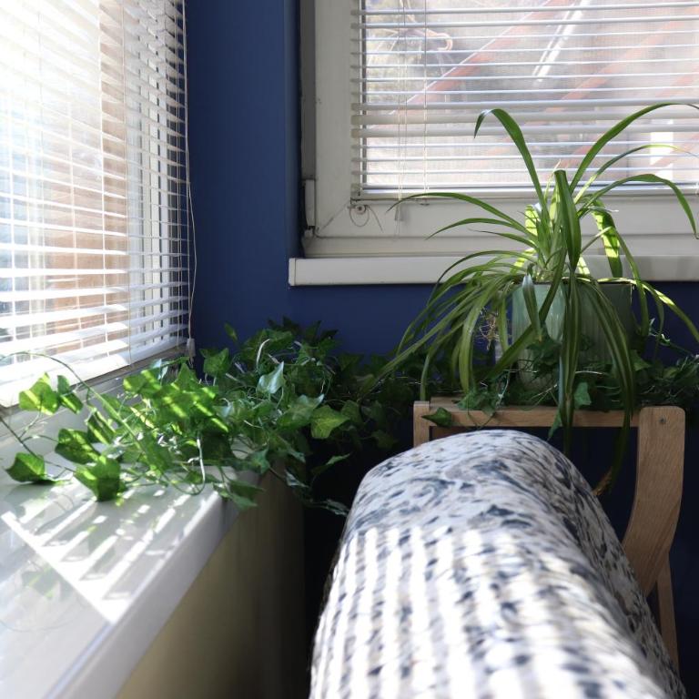 Center Apartment Dunja - Apartment - 12