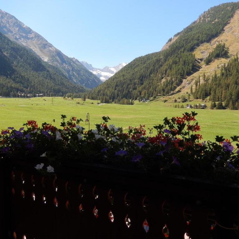 Albergo du Soleil - Double or Twin Room - 2