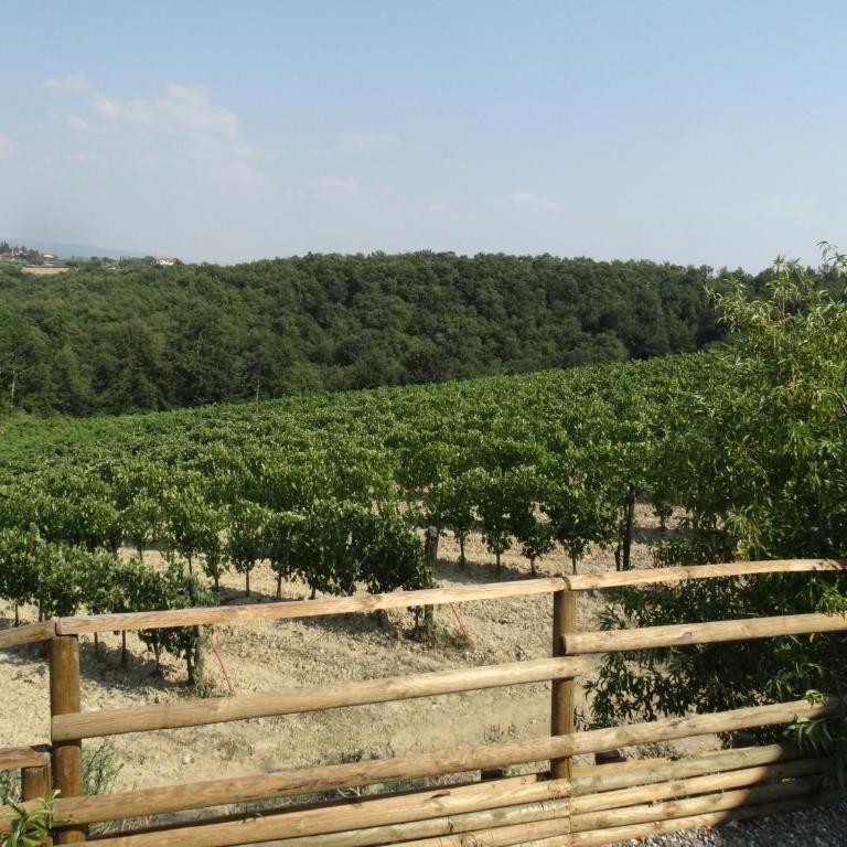 Agriturismo Montegonfoli - Two-Bedroom Apartment - Annex - 2