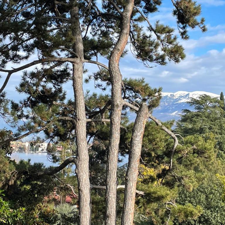 Casa Tonoli Terrazza Vista Lago Totale e Spiaggia - Appartamento con 1 Camera da Letto - 34