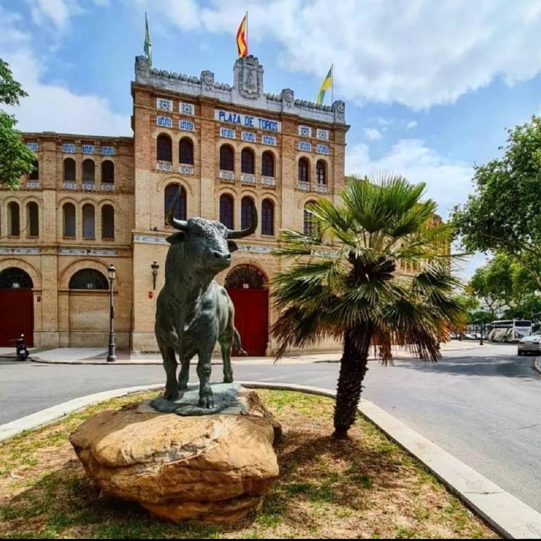 Apartamento Plaza Toros - Apartamento con terraza - 17