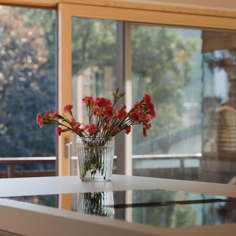 Mein NATURGUT mit Privater Sauna - Apartment mit 2 Schlafzimmern - 7