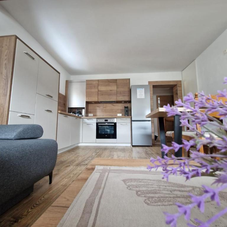 Haus-Ennstal - Apartment mit 1 Schlafzimmer - 11