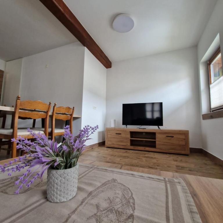 Haus-Ennstal - Apartment mit 1 Schlafzimmer - 6