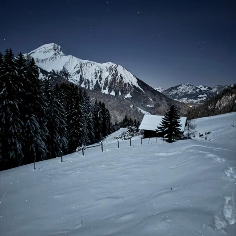 Charming, cosy chalet nestled in a breathtaking surrounding with spectacular, stunning mountain views - Chalet - 41