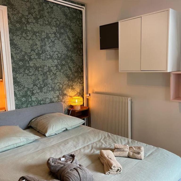 Dijon Studio *Balnéo du Condorcet* - One-Bedroom Apartment - 6