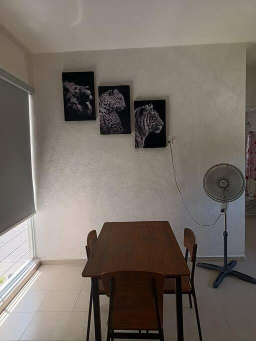 Departamento en CanCun. - Apartamento de 1 dormitorio - 19
