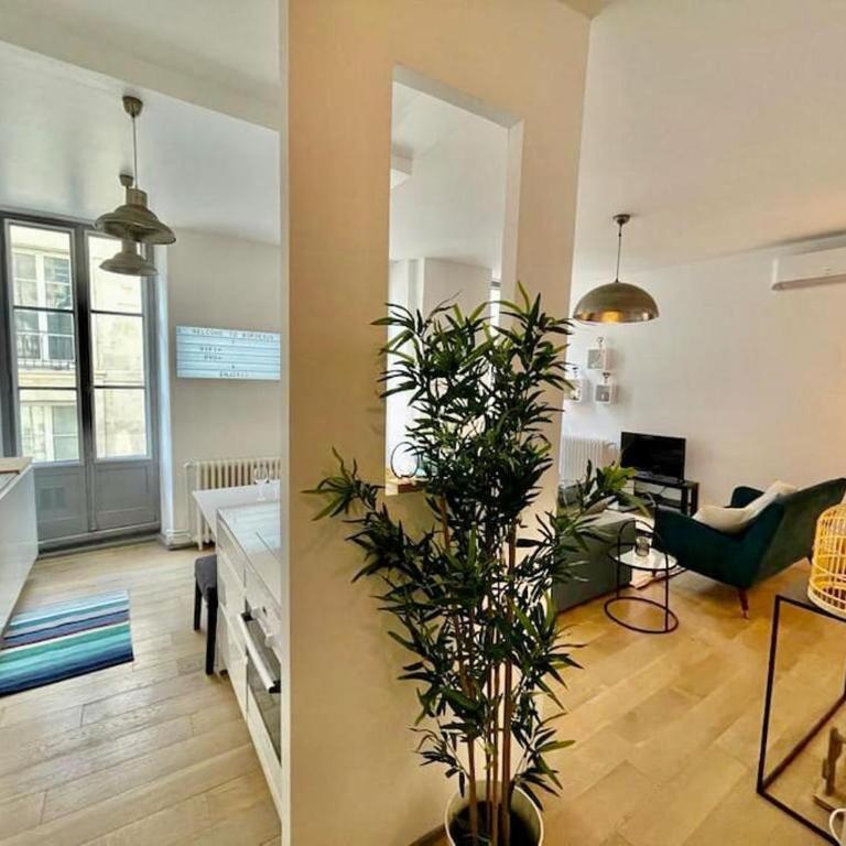 Beaux T2 et T3 climatisés dans le triangle d'or - Two-Bedroom Apartment - 10