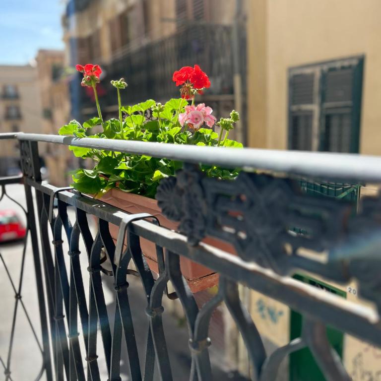 Palermo21Apartment - Appartamento Standard - 15