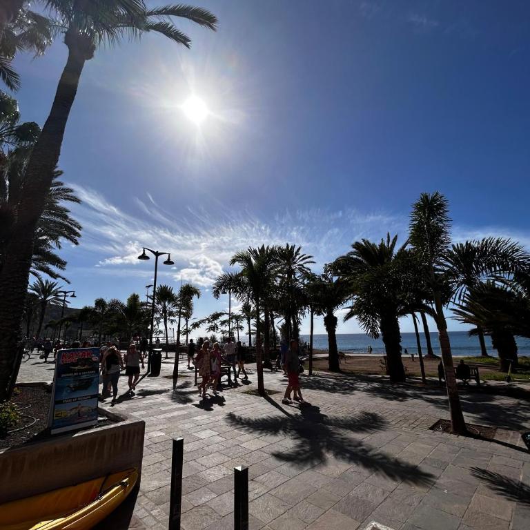 Apartamento Estudio en Los Cristianos Edificio Guayero - Apartamento de 1 dormitorio - 4