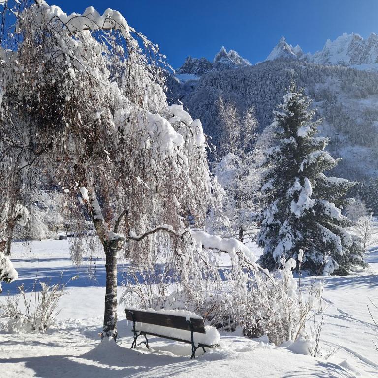 Les Tussilages - Terrasse vue Mont-Blanc - Appartement avec Vue sur la Montagne - 11