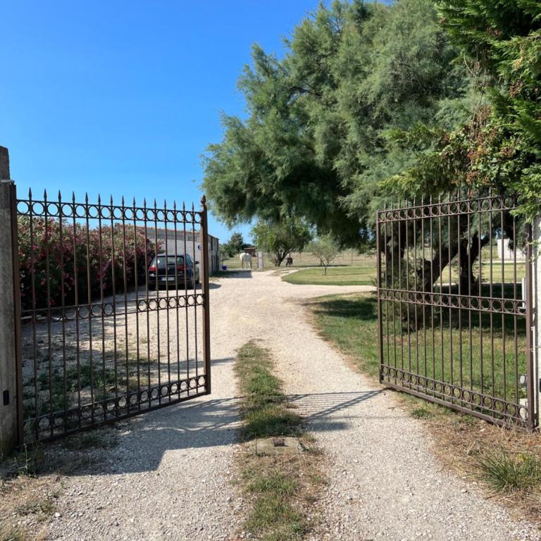 « La Parenthèse » gîte en Camargue - One-Bedroom Apartment - 12