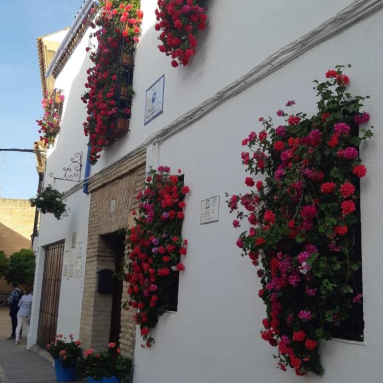 El rincón de Jesús y Loli - Two-Bedroom Apartment - 33