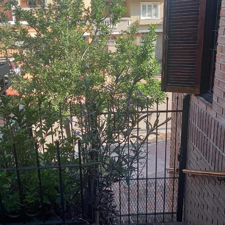 CASA AMPLIA Y CONFORTABLE - Casa de 3 dormitorios - 9