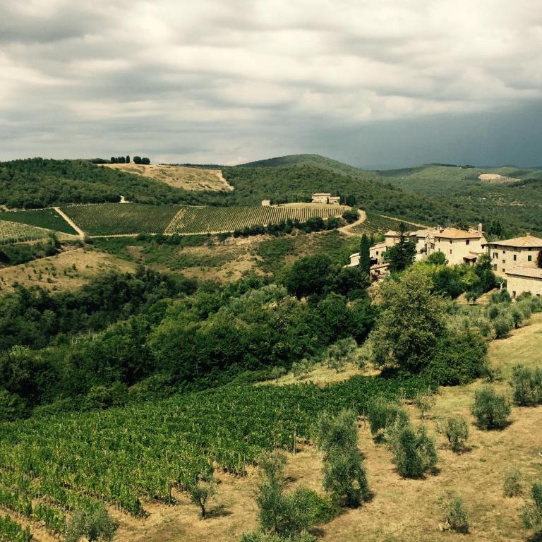Oasi nel Chianti in Località Tregole - Appartamento con 2 Camere da Letto - 34