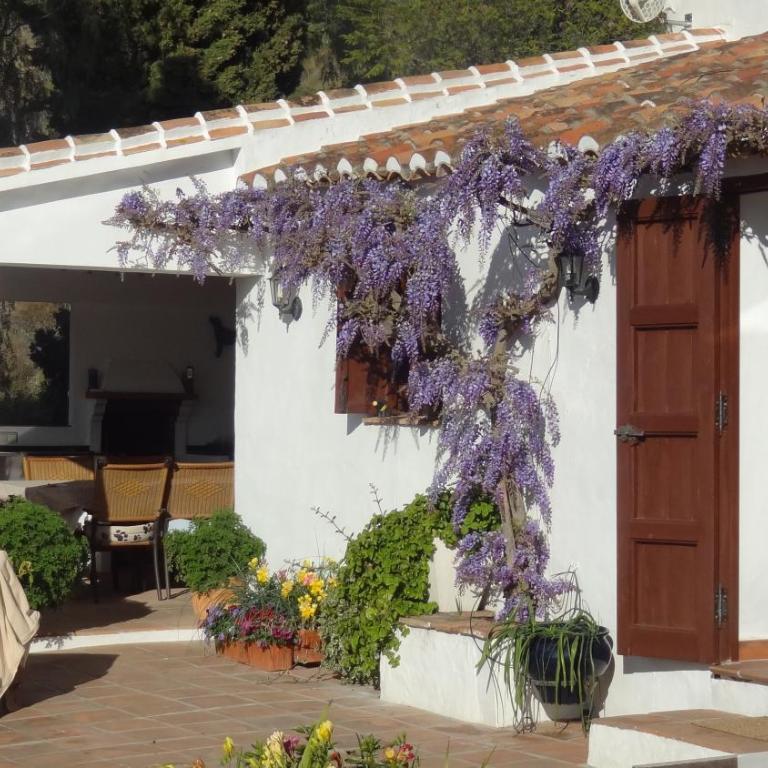 Charming Finca Emilio 2 bedrooms and private pool - Villa de 2 dormitorios - 41