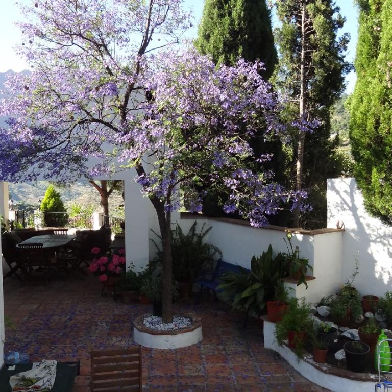 Charming Finca Emilio 2 bedrooms and private pool - Villa de 2 dormitorios - 42