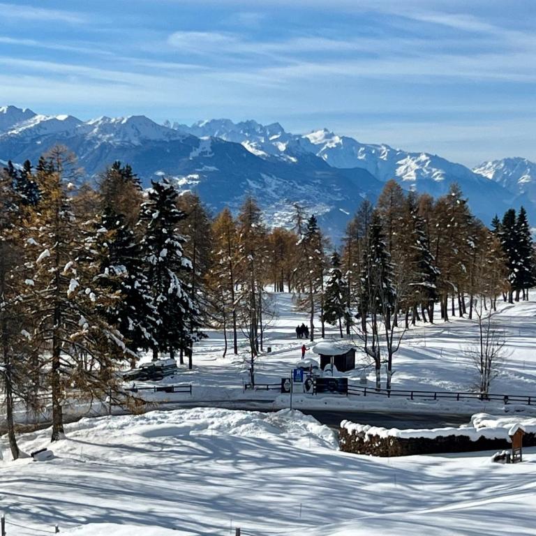 Exclusive Comfy Apartment in Central Crans-Montana - Apartment mit 3 Schlafzimmern - 33