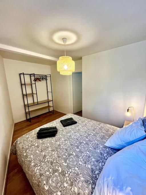 T3 souplex entre gare & Nansouty - Appartement 2 Chambres - 3
