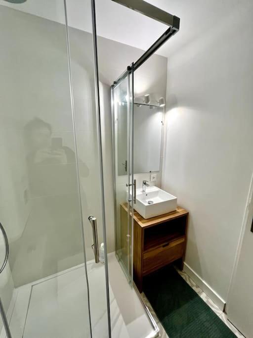 T3 souplex entre gare & Nansouty - Appartement 2 Chambres - 9