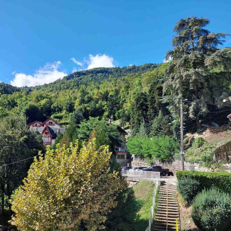 Studio 2 Pers., Centre Village, Wifi, Animaux Ok - Studio - 13