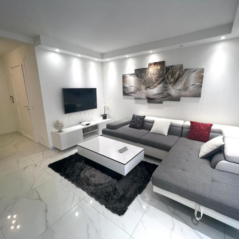Appartements de Standing Cannes Centre - Appartement Supérieur - 3