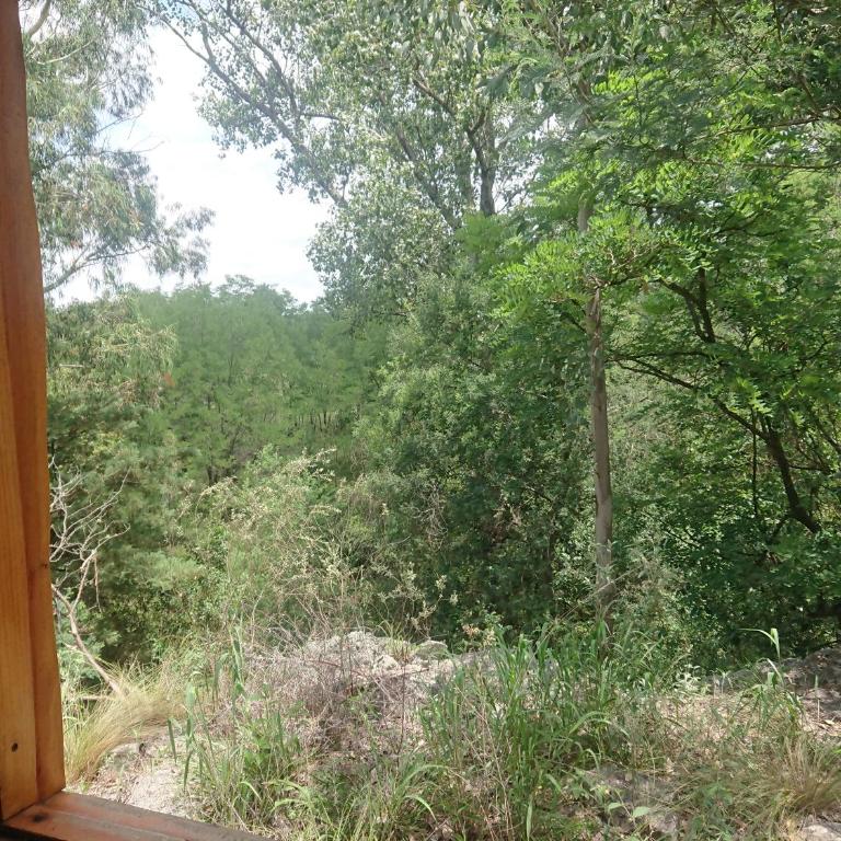 La Cabañita - One-Bedroom Chalet - 16