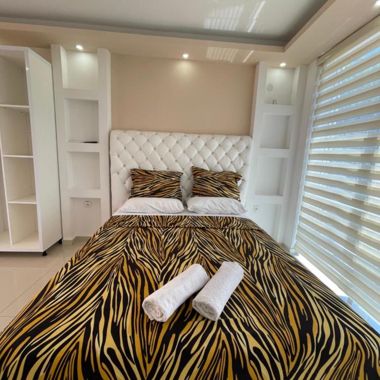 Queen Kodre Apartments - Standardni Apartman - 4