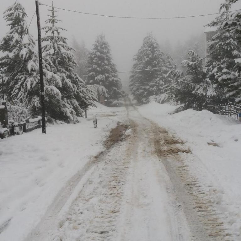 Base Catedral - One-Bedroom Bungalow - 56