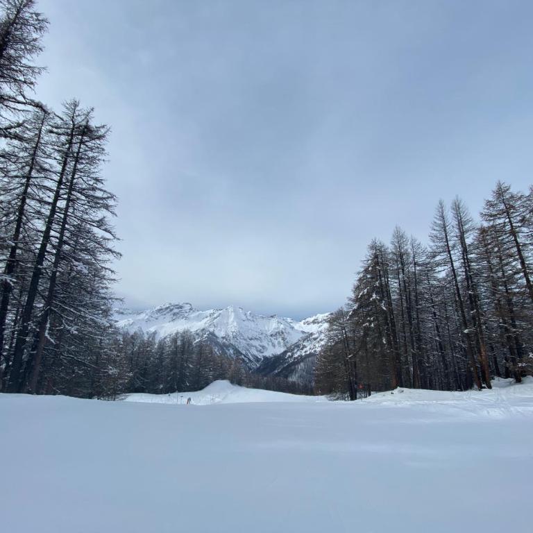 Les Granges d’Arvieux - Queyras - Appart 3ch./6p. - Appartement 3 Chambres - 32