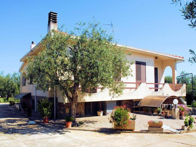 Bed And Breakfast Eden Green - Camera Matrimoniale/Doppia con Letti Singoli con Bagno in Comune - 6