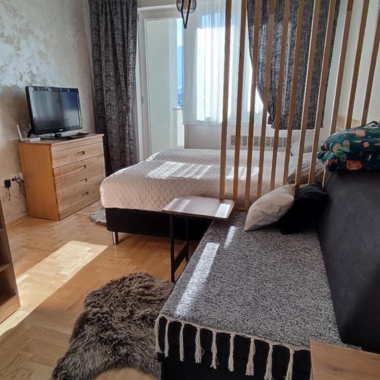 Studio apartman Pale - Studio Apartment - 4