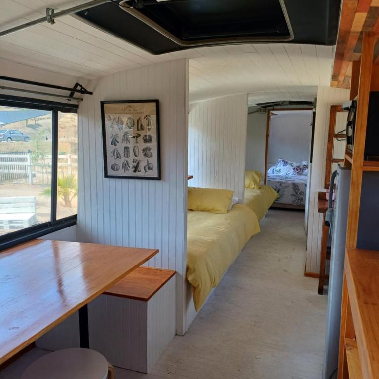 Puerto Rungue n°3 - One-Bedroom Apartment - 10