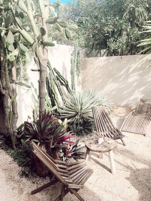 Hotel Boutique KAA - King Suite with Pool View - 1