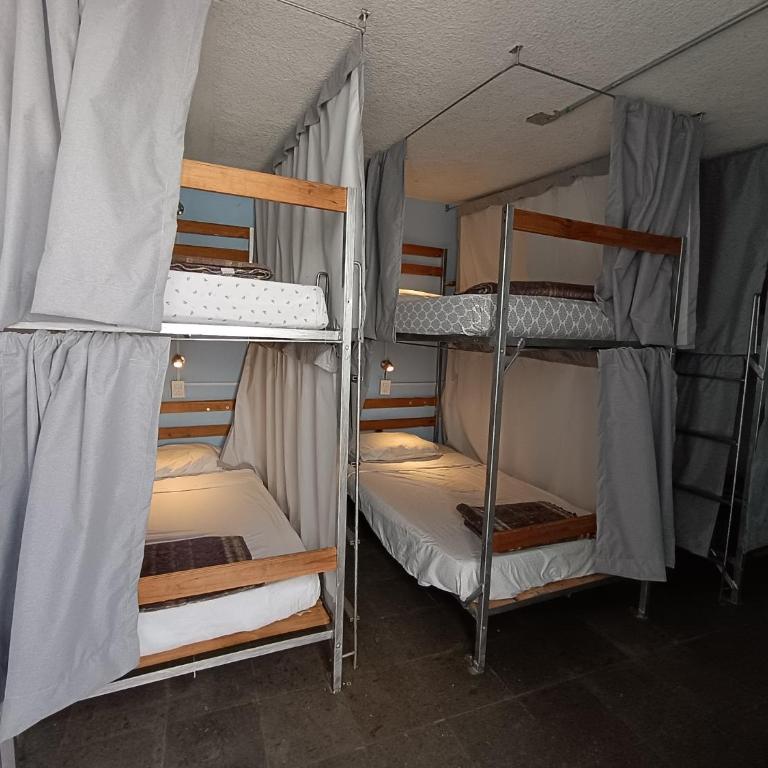 Monkey Safari Hostel - Bed in 6-Bed Mixed Dormitory Room - 2