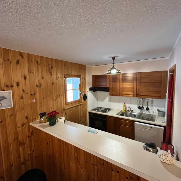 L'Hérensarde, bel appartement avec jardin-terrasse et garage - Apartment mit Terrasse - 12