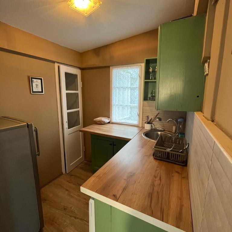 Villa Lenka Sokobanja - Kuća sa 1 Spavaćom Sobom - 9