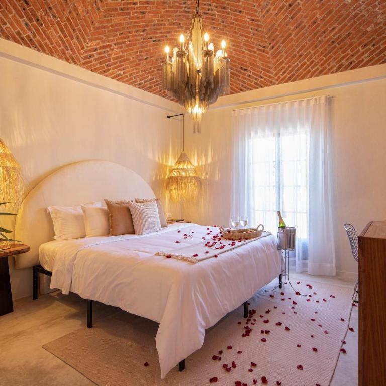 HOLT Hotel del Pueblito - Standard Suite - 1