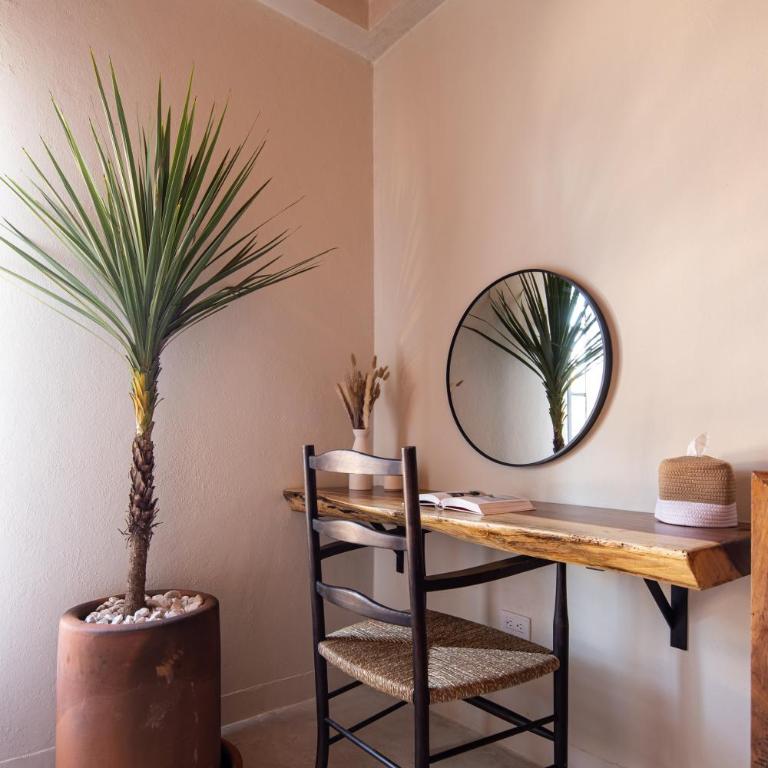 HOLT Hotel del Pueblito - Standard Suite - 14