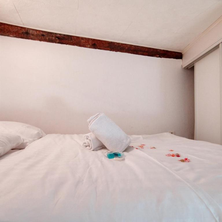 Très beau studio idéalement situé centre ville - Apartment mit 1 Schlafzimmer - 16