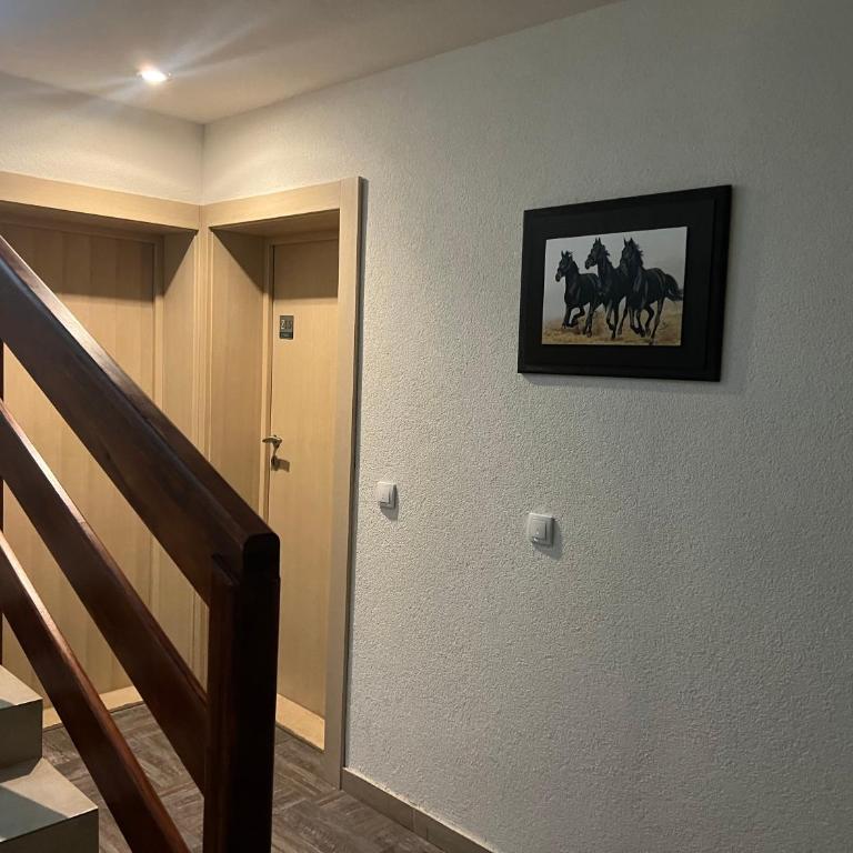 Vila Zvončica Apartman Z12 - One-Bedroom Apartment - 45