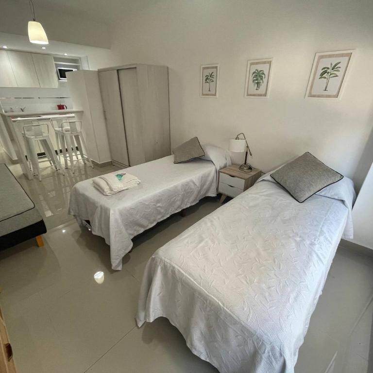 Studio In San Telmo- Paseo De La Cisterna- 529 - Apartamento - 1