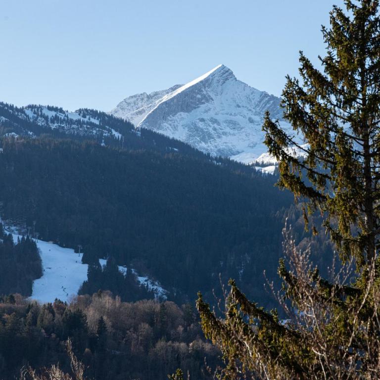 Mercure Alpenpanorama - Apartment with Mountain View - 39