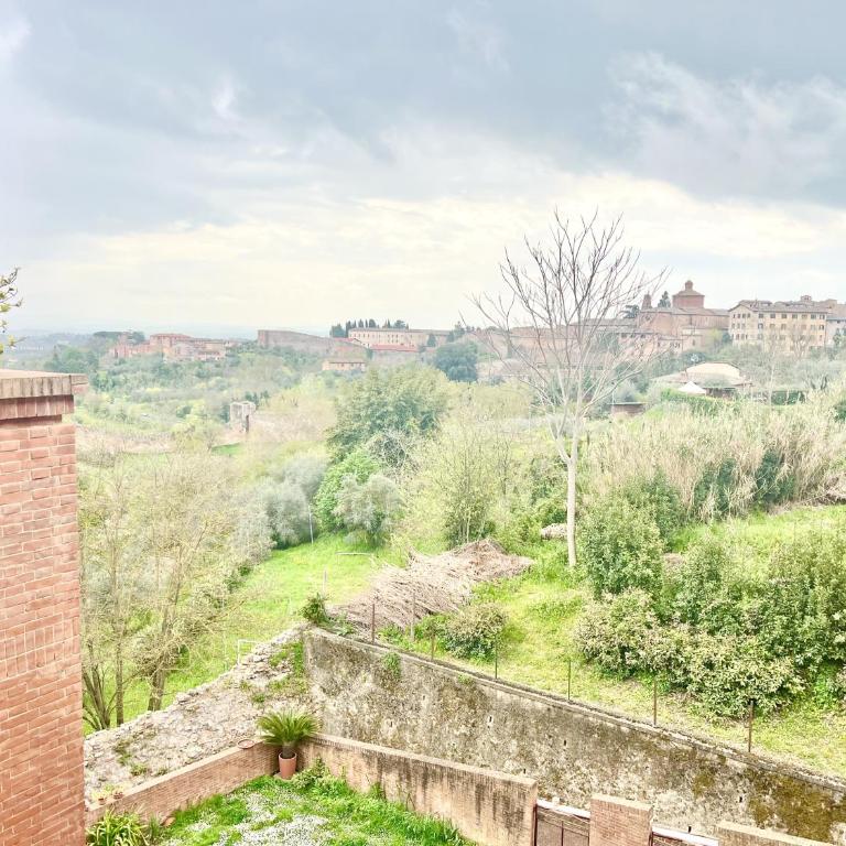 Provenzano Top Floor - Appartamento con 1 Camera da Letto - 29