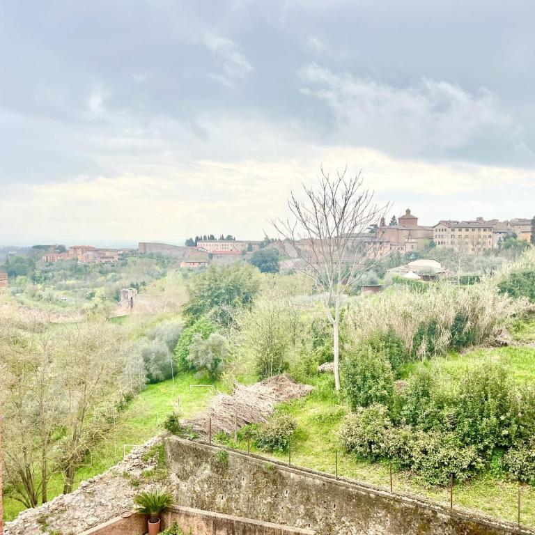 Provenzano Top Floor - Appartamento con 1 Camera da Letto - 30