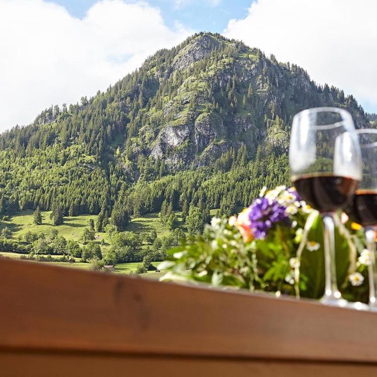 Ferienwohnung Hirschbergblick - Apartment mit 1 Schlafzimmer und Badezimmer - 9