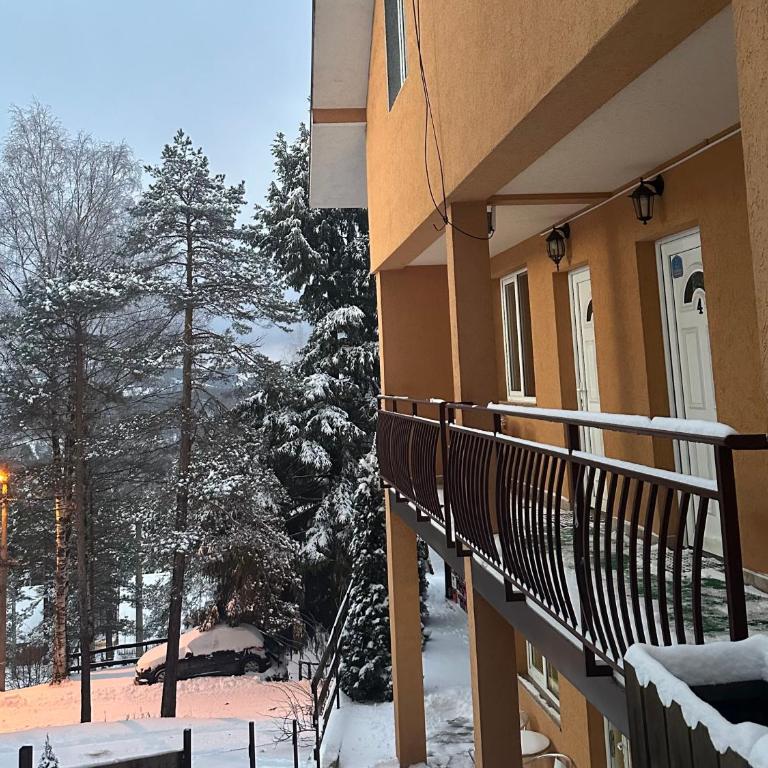 Divčibarski raj - Studio Apartman - 12