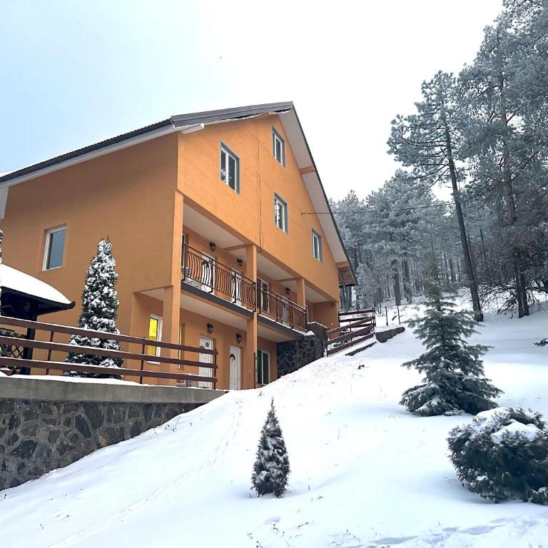 Divčibarski raj - Studio Apartman - 11